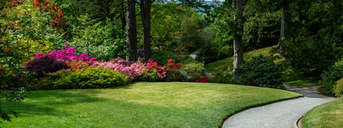 Mulch, Pine Straw, or Rock? Picking the Right Cover for Your Garden Beds