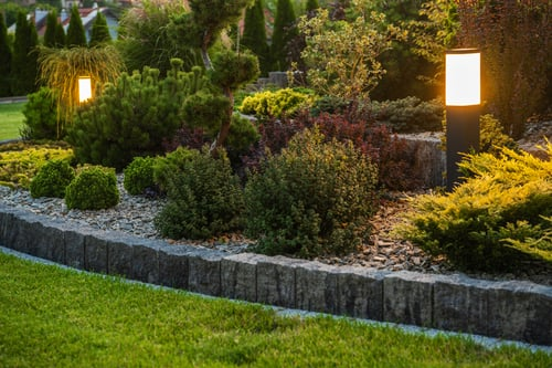 Garden Beds / Jardineras
